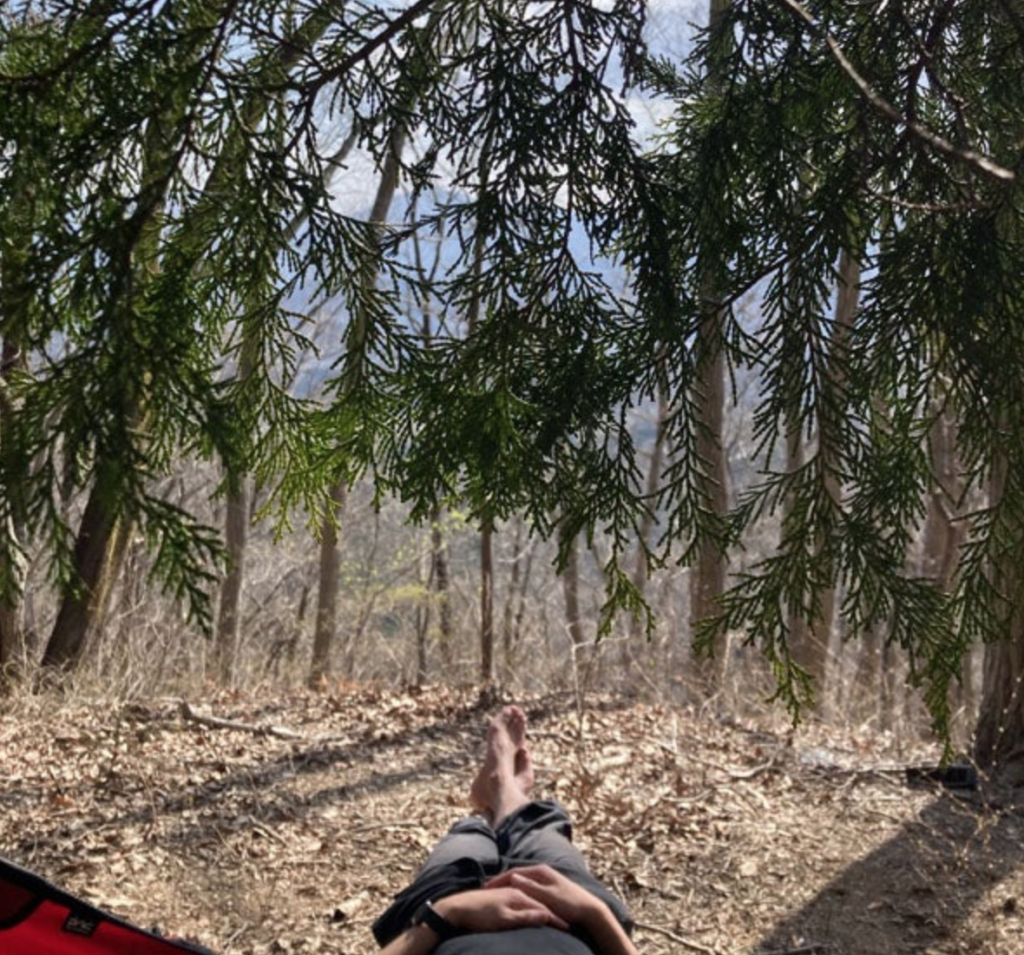 A Day Hike Amid Falling Cherry Blossoms – Mt. Jinba, Hachioji/Tokyo